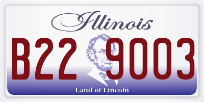 IL license plate B229003