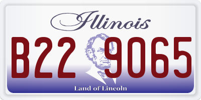 IL license plate B229065