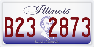 IL license plate B232873