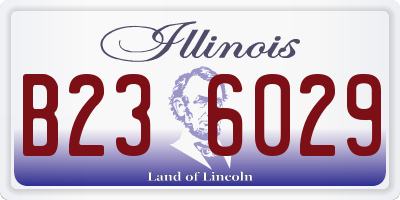 IL license plate B236029