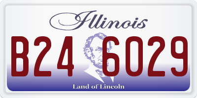 IL license plate B246029