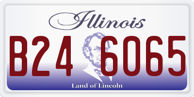 IL license plate B246065
