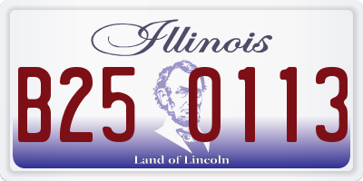 IL license plate B250113