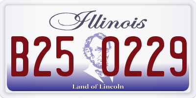 IL license plate B250229
