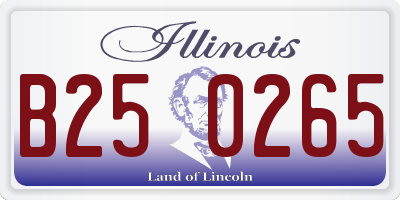IL license plate B250265