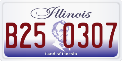 IL license plate B250307