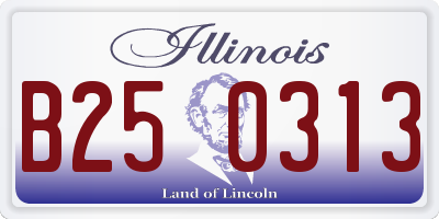 IL license plate B250313