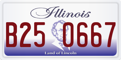 IL license plate B250667