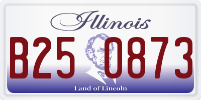 IL license plate B250873