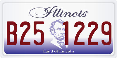 IL license plate B251229