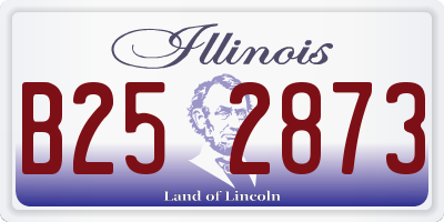 IL license plate B252873