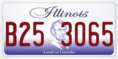 IL license plate B253065