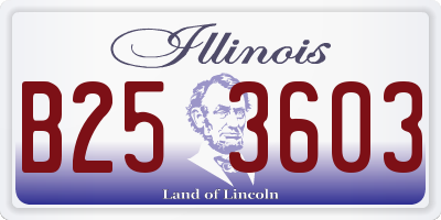 IL license plate B253603