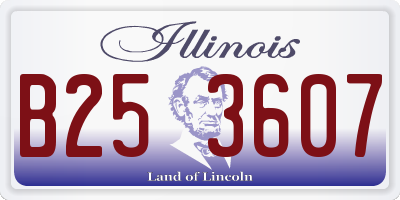 IL license plate B253607
