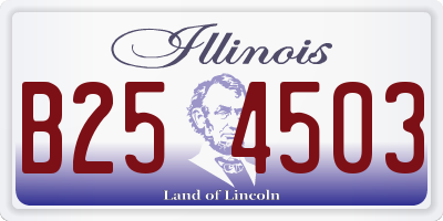 IL license plate B254503