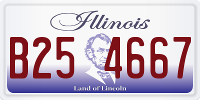 IL license plate B254667