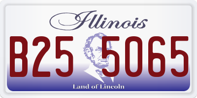 IL license plate B255065