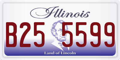IL license plate B255599