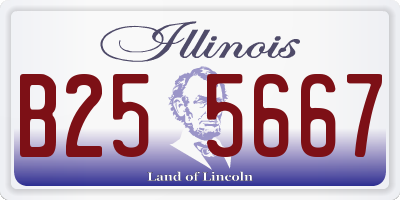 IL license plate B255667