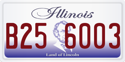 IL license plate B256003