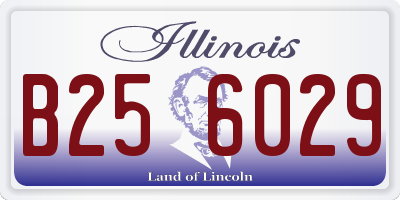 IL license plate B256029