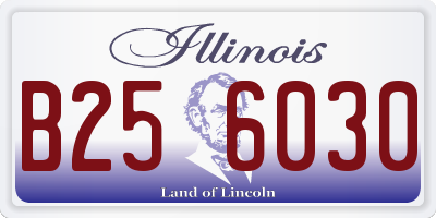 IL license plate B256030