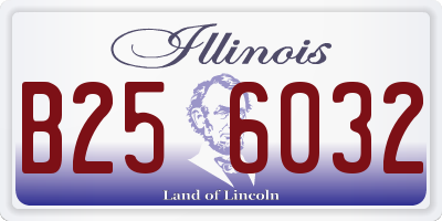 IL license plate B256032