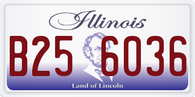 IL license plate B256036