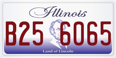 IL license plate B256065