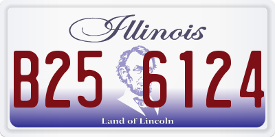 IL license plate B256124