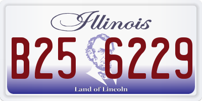 IL license plate B256229