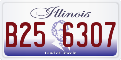IL license plate B256307