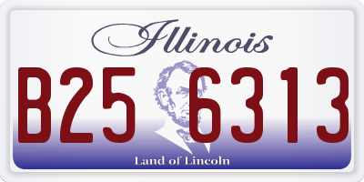 IL license plate B256313