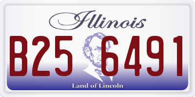 IL license plate B256491