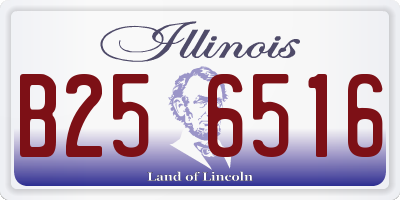 IL license plate B256516