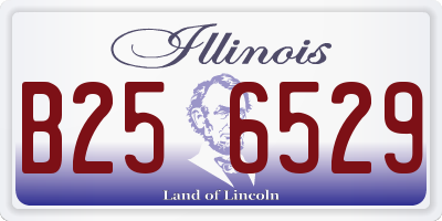 IL license plate B256529