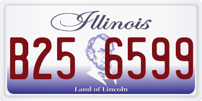 IL license plate B256599