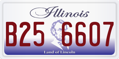 IL license plate B256607