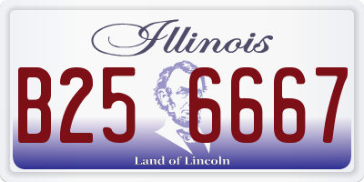 IL license plate B256667
