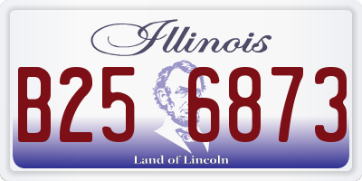 IL license plate B256873
