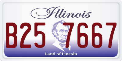 IL license plate B257667