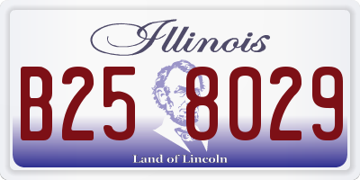 IL license plate B258029