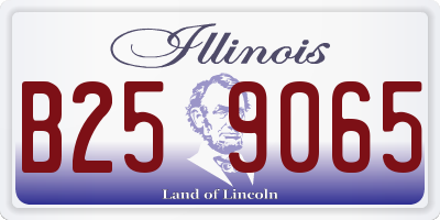 IL license plate B259065