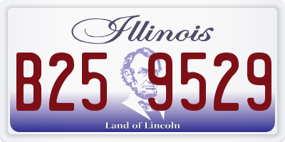 IL license plate B259529