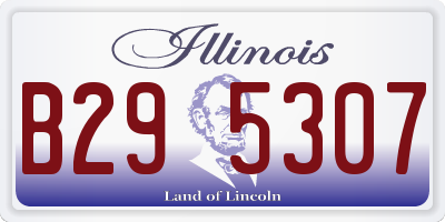 IL license plate B295307