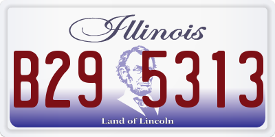 IL license plate B295313