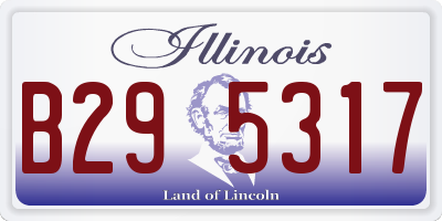 IL license plate B295317