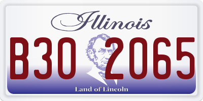 IL license plate B302065