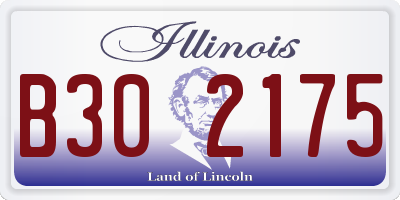 IL license plate B302175
