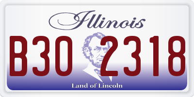 IL license plate B302318